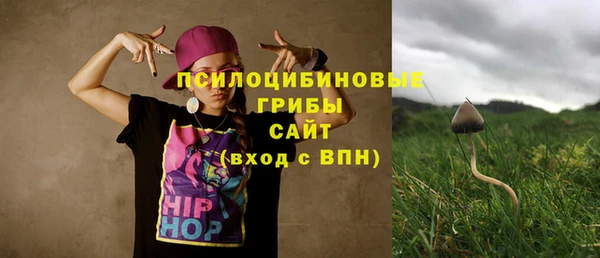 гашик Михайлов