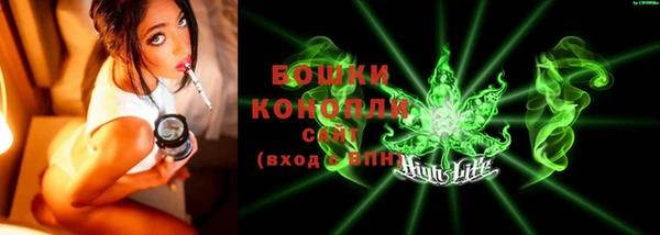 гашик Михайлов