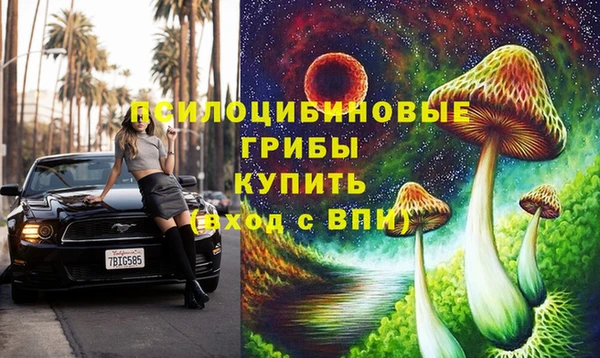 гашик Михайлов