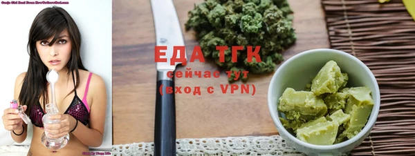 гашик Михайлов