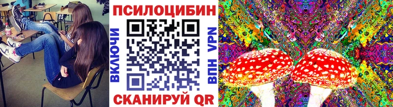 Купить  Туринск  Галлюциногенные грибы мухоморы 